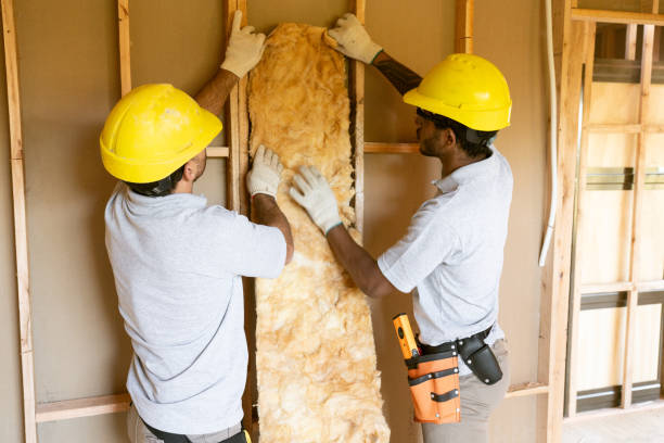 Best Basement Insulation in Edwardsville, PA